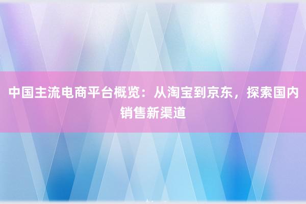 中国主流电商平台概览：从淘宝到京东，探索国内销售新渠道